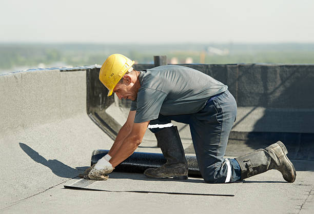 Best Insulation Removal  in Centerton, AR
